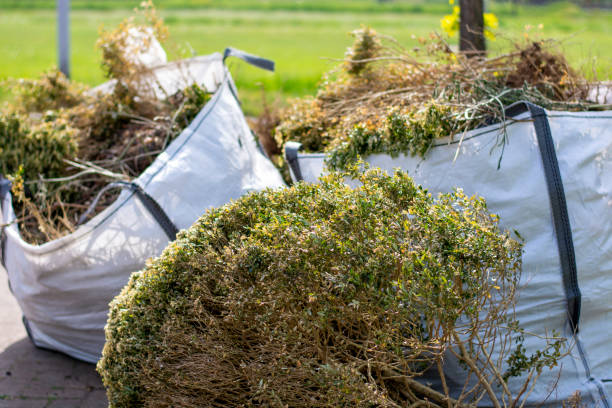 Best Residential Junk Removal  in South Beach, FL