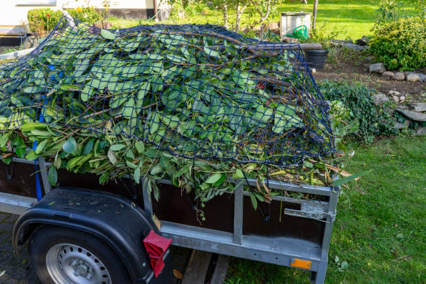 Best Moving and Downsizing Cleanouts  in South Beach, FL